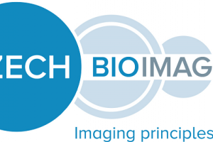 Czech-BioImaging call for research projects