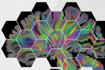 Educational Course NeuroImaging: Mapping the Function and Structure of Brain