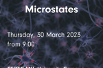 Workshop on Brain Microstates